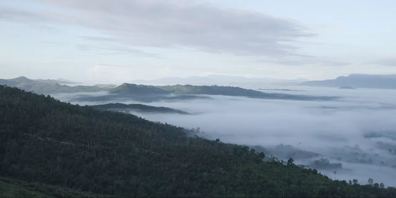 Menikmati Sensasi Gumpalan Awan di Gunung Embun, Pesona Hutan Mangrove Hingga Museum Sadurengas