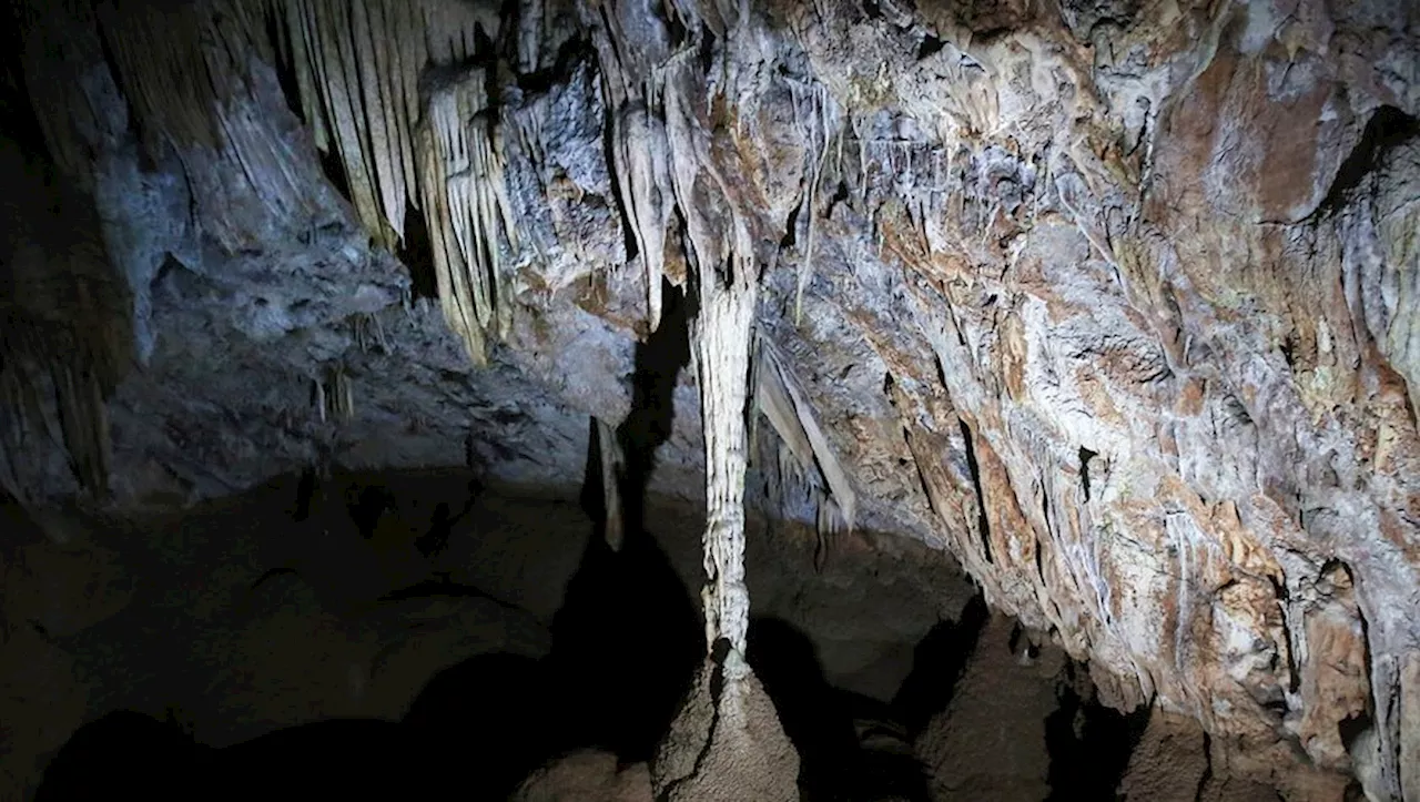 'On le voit la poser au sol et puis partir en souriant' : un visiteur touche une stalactite millénaire pour te