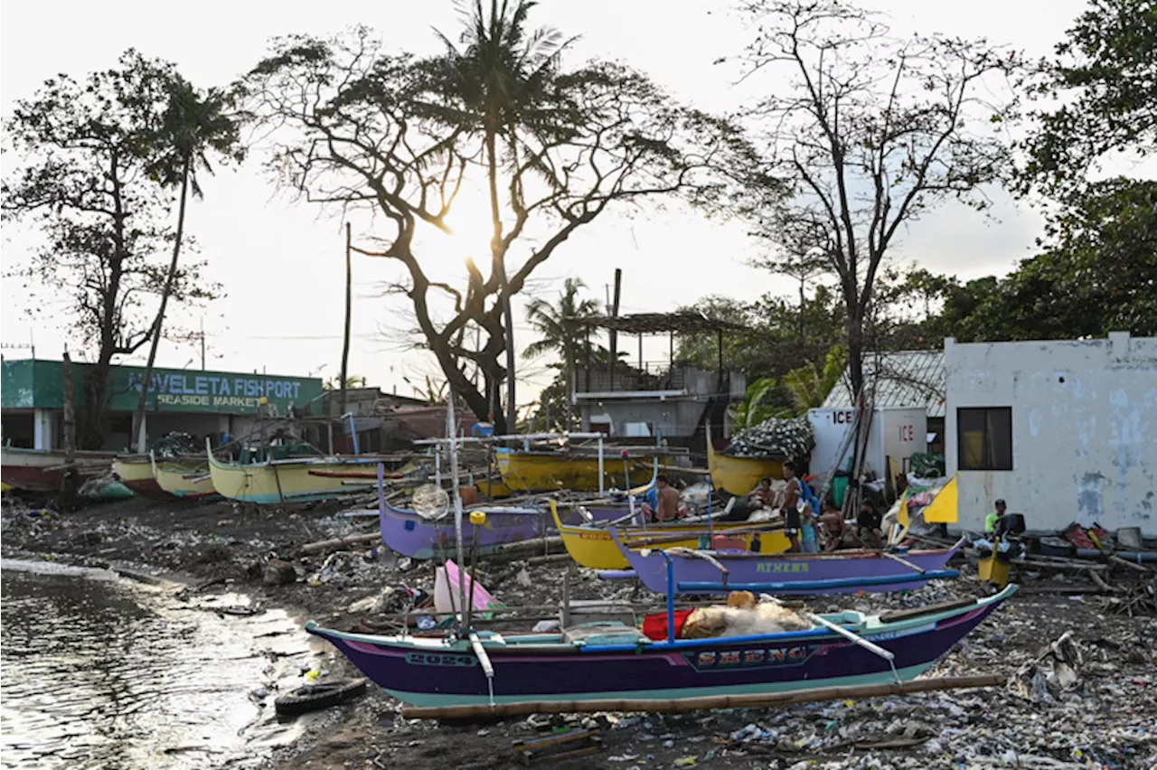 Cavite fish 'still not safe for human consumption' — BFAR