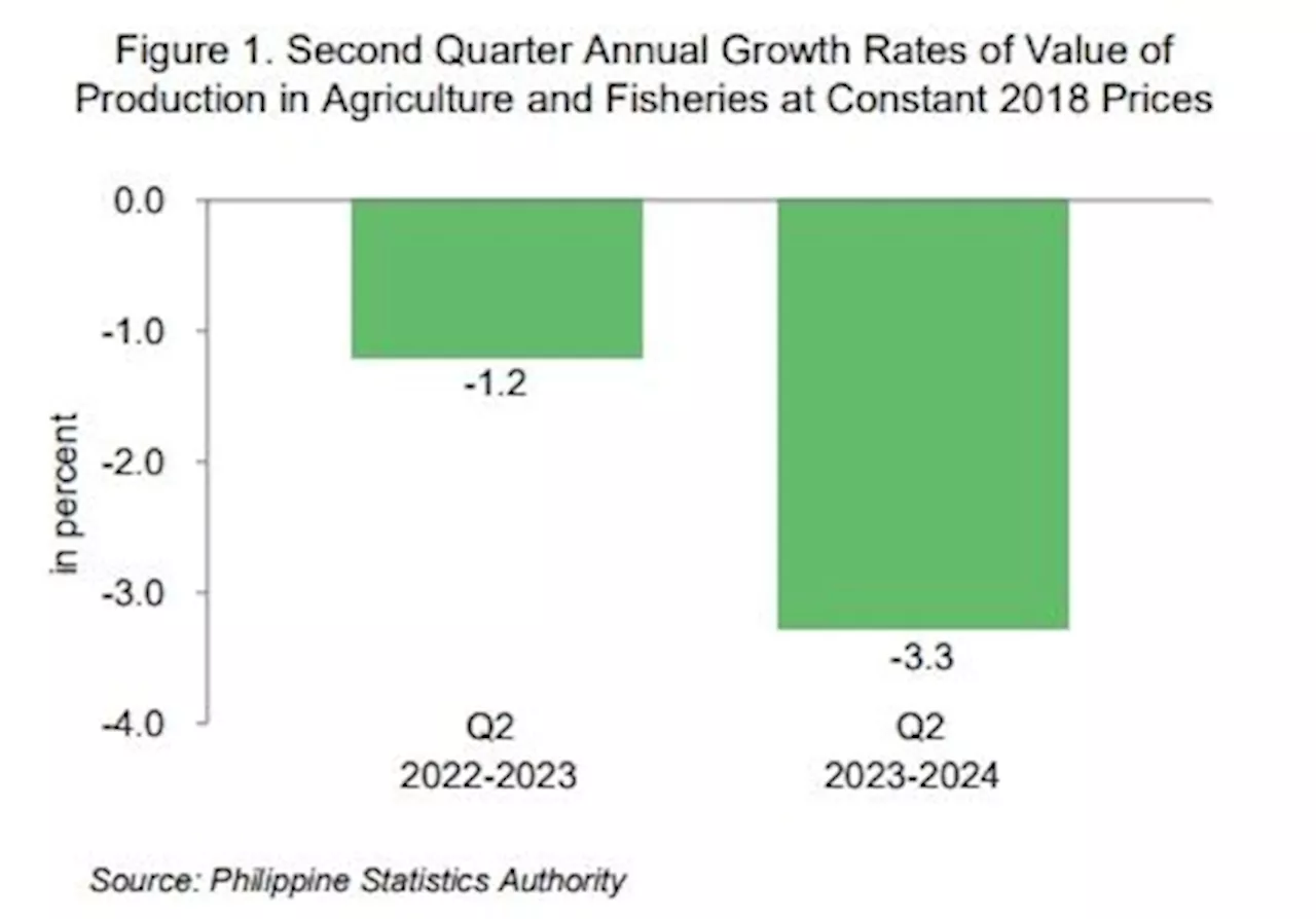 Philippine agriculture output shrank 3.3% in second quarter of 2024