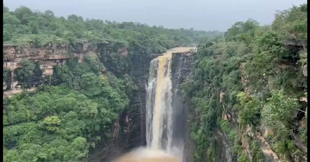 मनाली नैनीताल जाने की नहीं है जरूरत, बिहार के कैमूर पहाड़ी पर हैं ऐसे कई जलप्रपात जो बरसात में लगते हैं हसीन