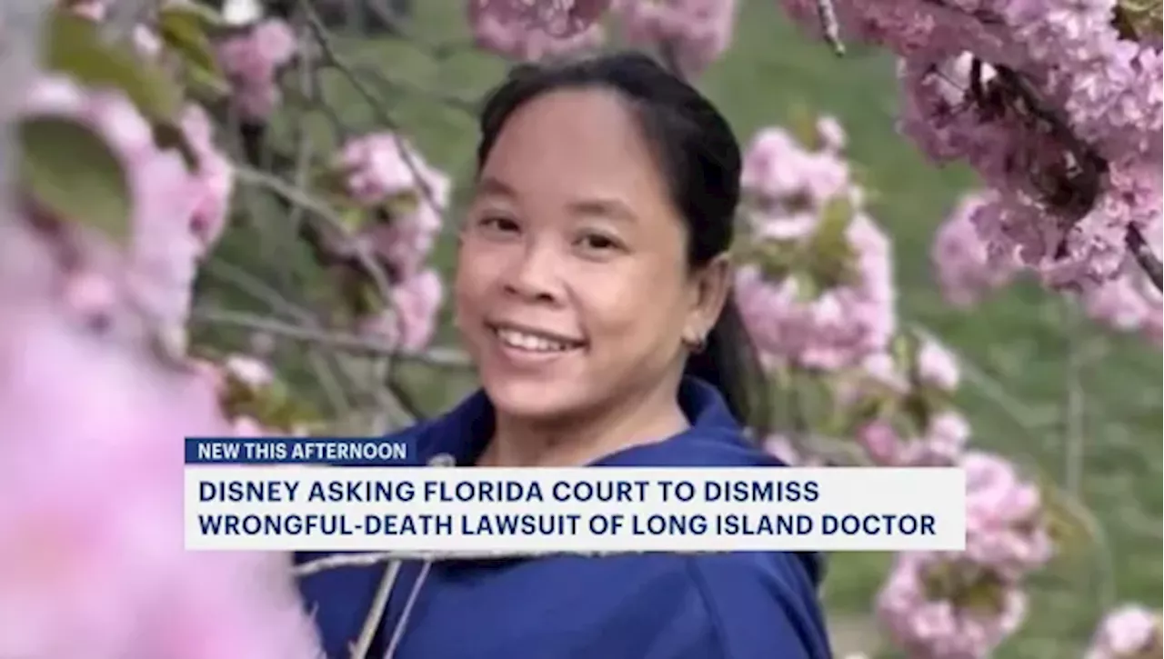 Disney wants wrongful death of LI doctor lawsuit tossed over Disney+ streaming terms