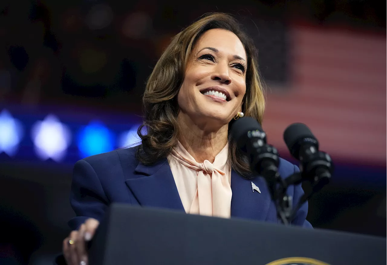 Kamala Harris Takes Nine Point Lead Over Donald Trump In Wisconsin Poll