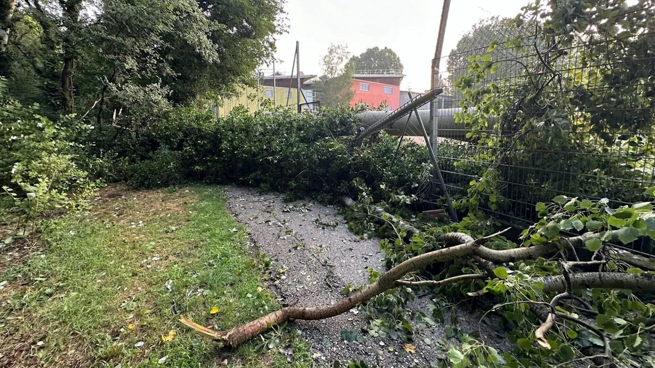 Bisher 82 Einsätze nach heftigem Unwetter für Feuerwehr Himberg