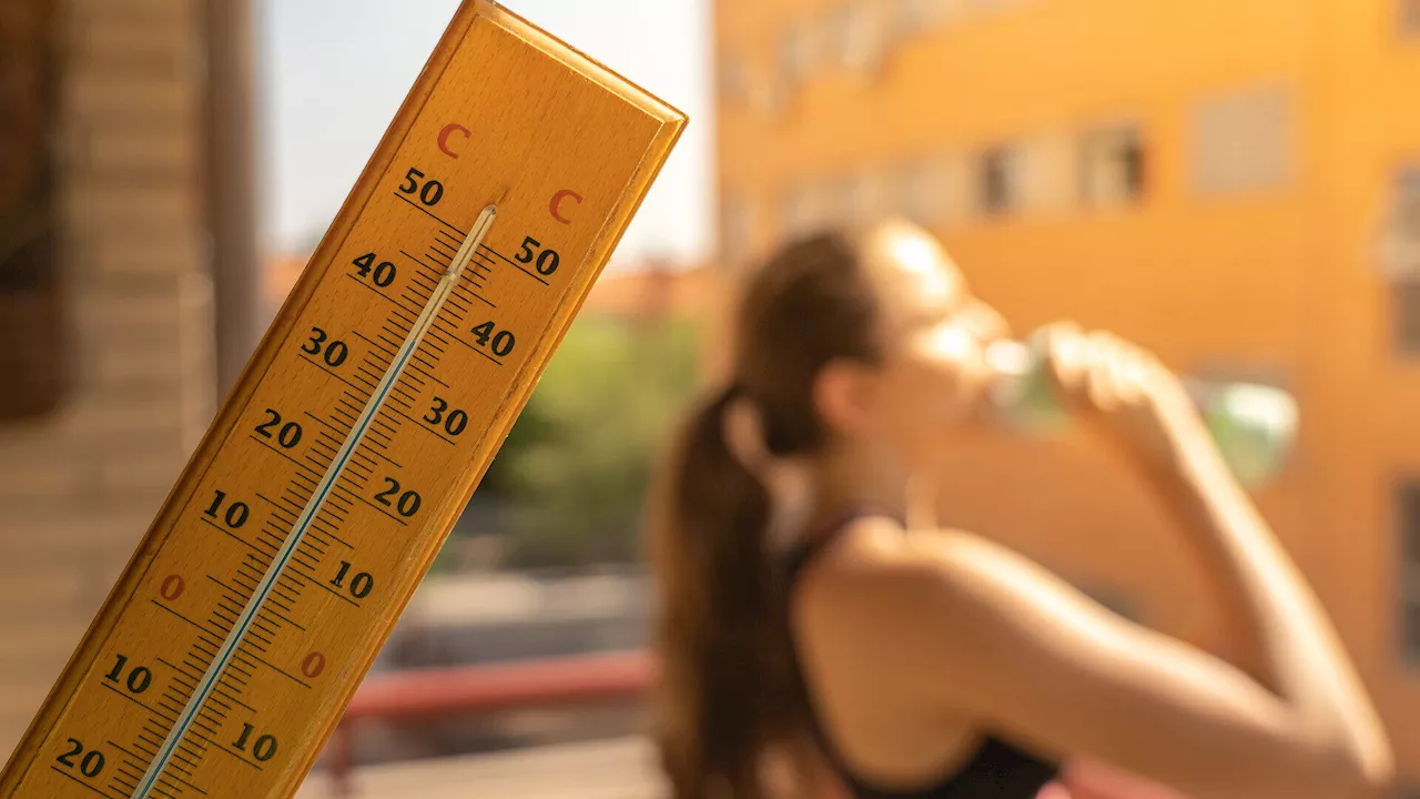 Dieser Sommer könnte zum wärmsten werden