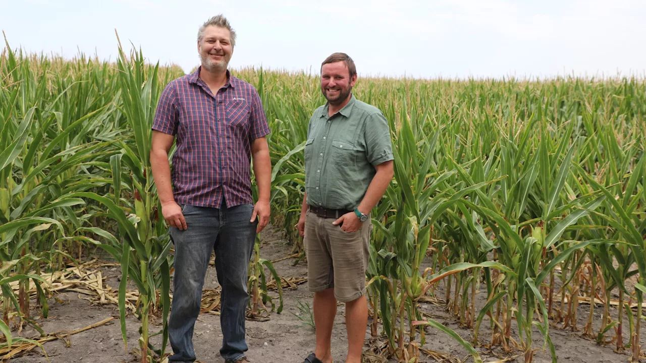 Ernte gut, alles gut? Kaltes Frühjahr machte Landwirten zu schaffen