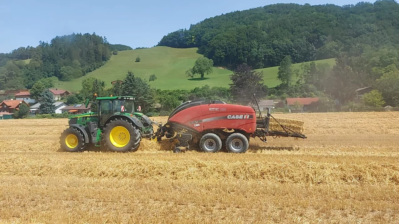 Heu, Obst, Getreide: Gute Erträge im Bezirk Lilienfeld