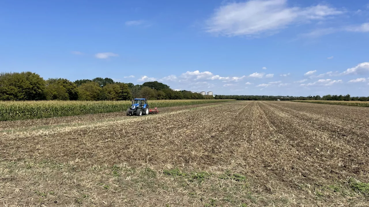 Verändertes Klima beeinträchtigt Ernte auch im Bezirk Tulln