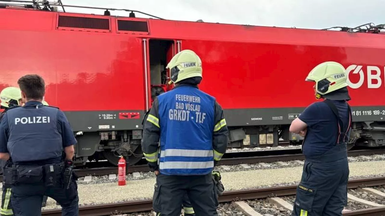  Vöslauer Feuerwehr rasch zur Stelle