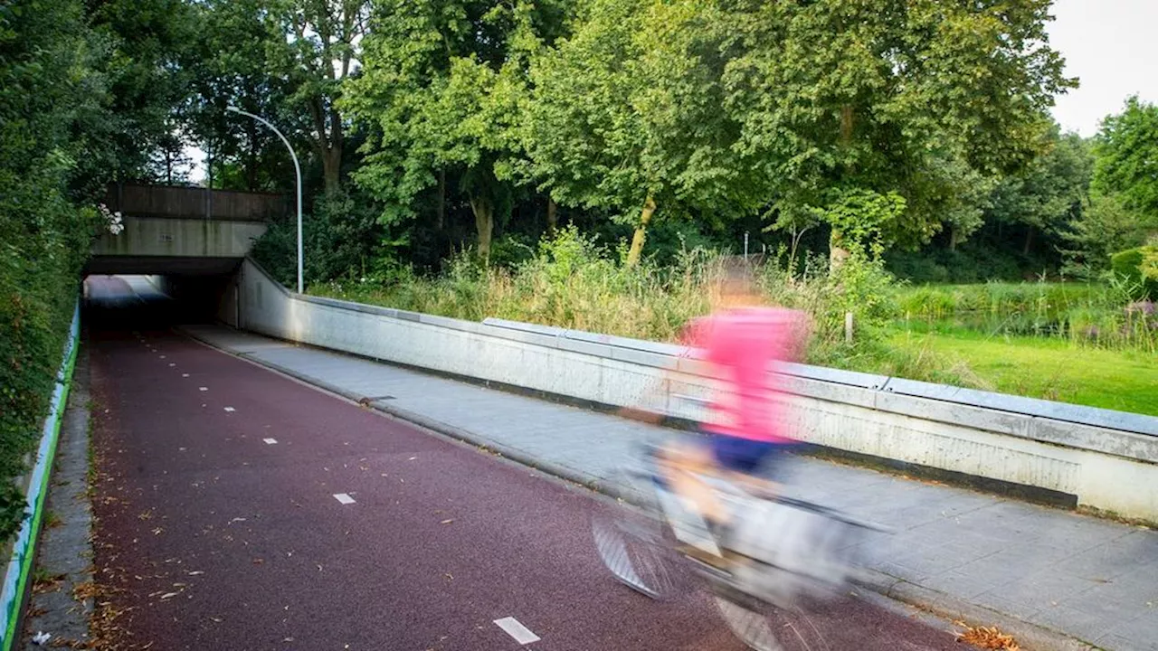 Politie pakt minderjarige verdachte op na dood Zwollenaar (53)