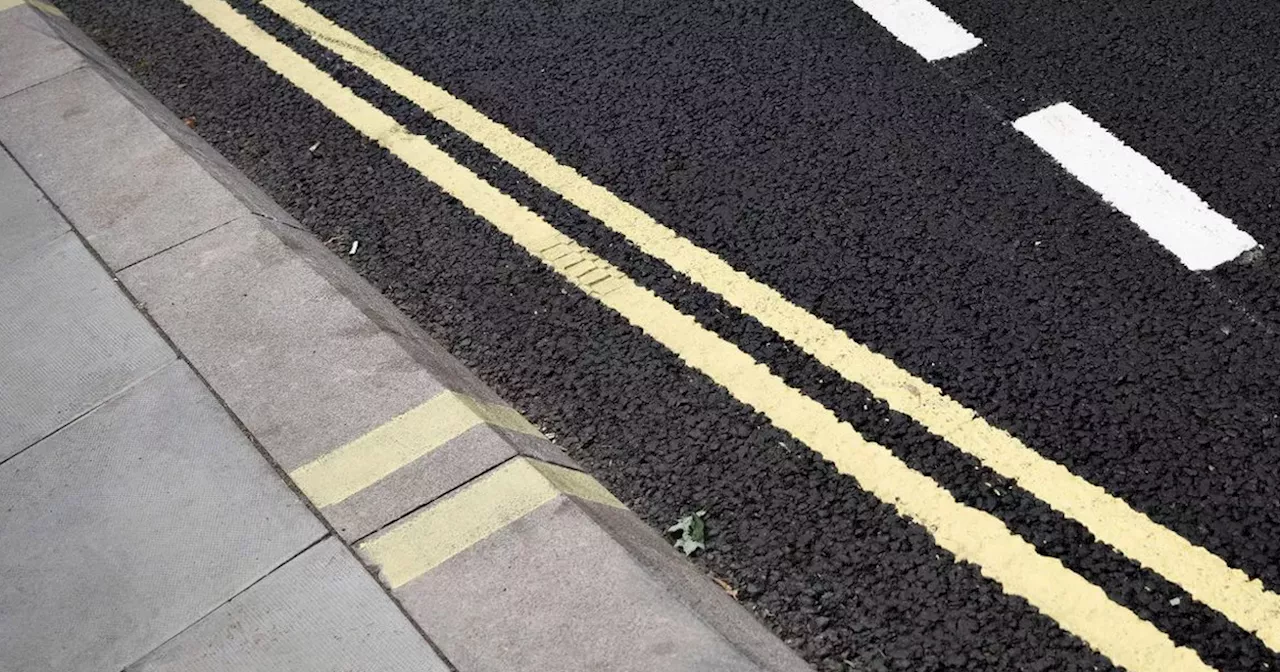 What two lines on kerb really mean after learner drivers left confused