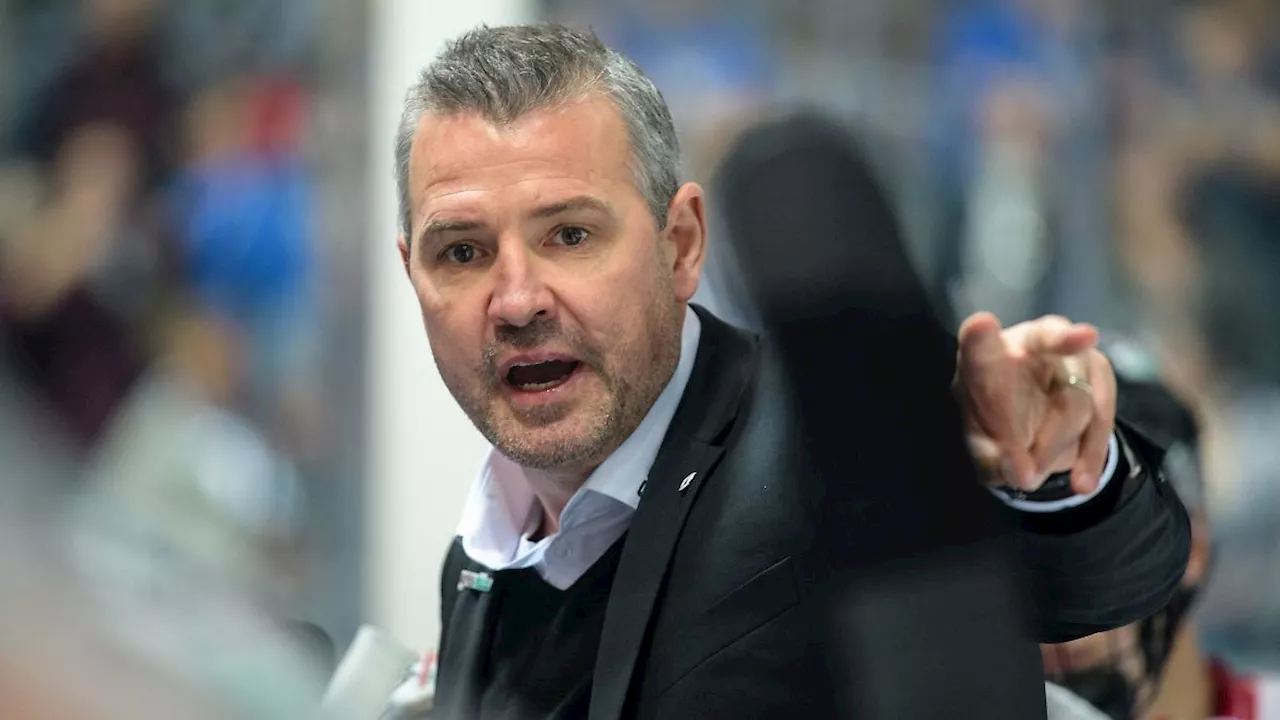 Berlin & Brandenburg: Eisbären-Coach Aubin lobt Trainingsstart: 'Ein guter Tag'