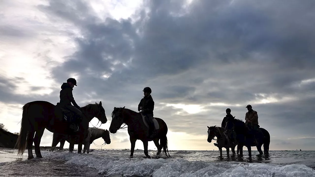 Notfall auf Usedom: Mädchen nach Reitunfall schwer verletzt