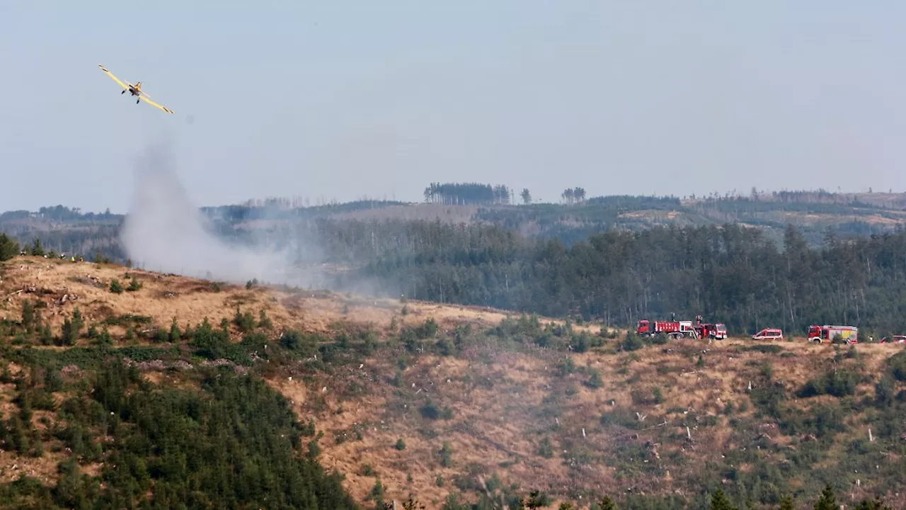 Waldbrände in Deutschland - Feuerwehr ruft höchste Gefahrenstufe wegen Hitze aus