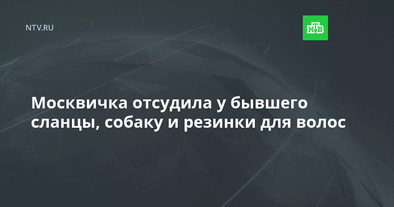 Москвичка отсудила у бывшего сланцы, собаку и резинки для волос