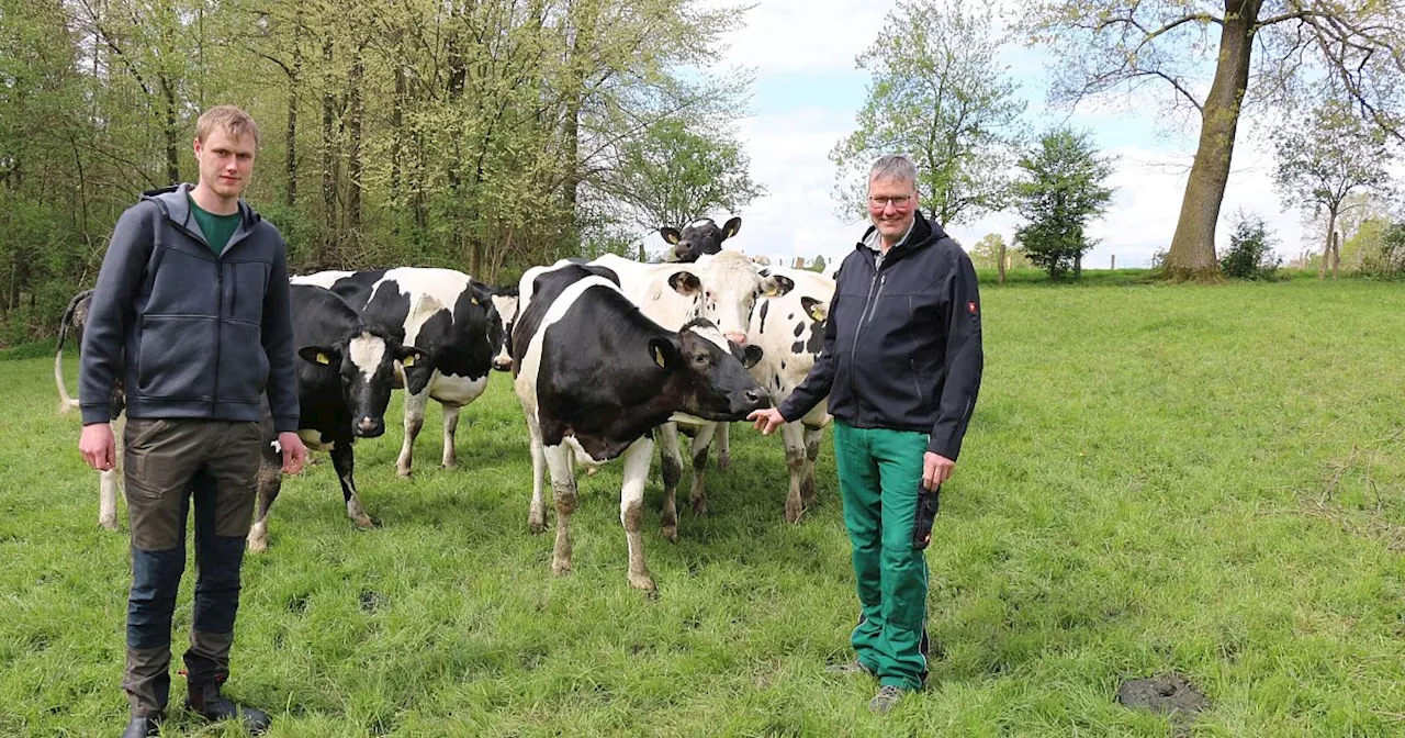 Landwirte erklären beim Nieheimer Käsemarkt das Multitalent von Kühen