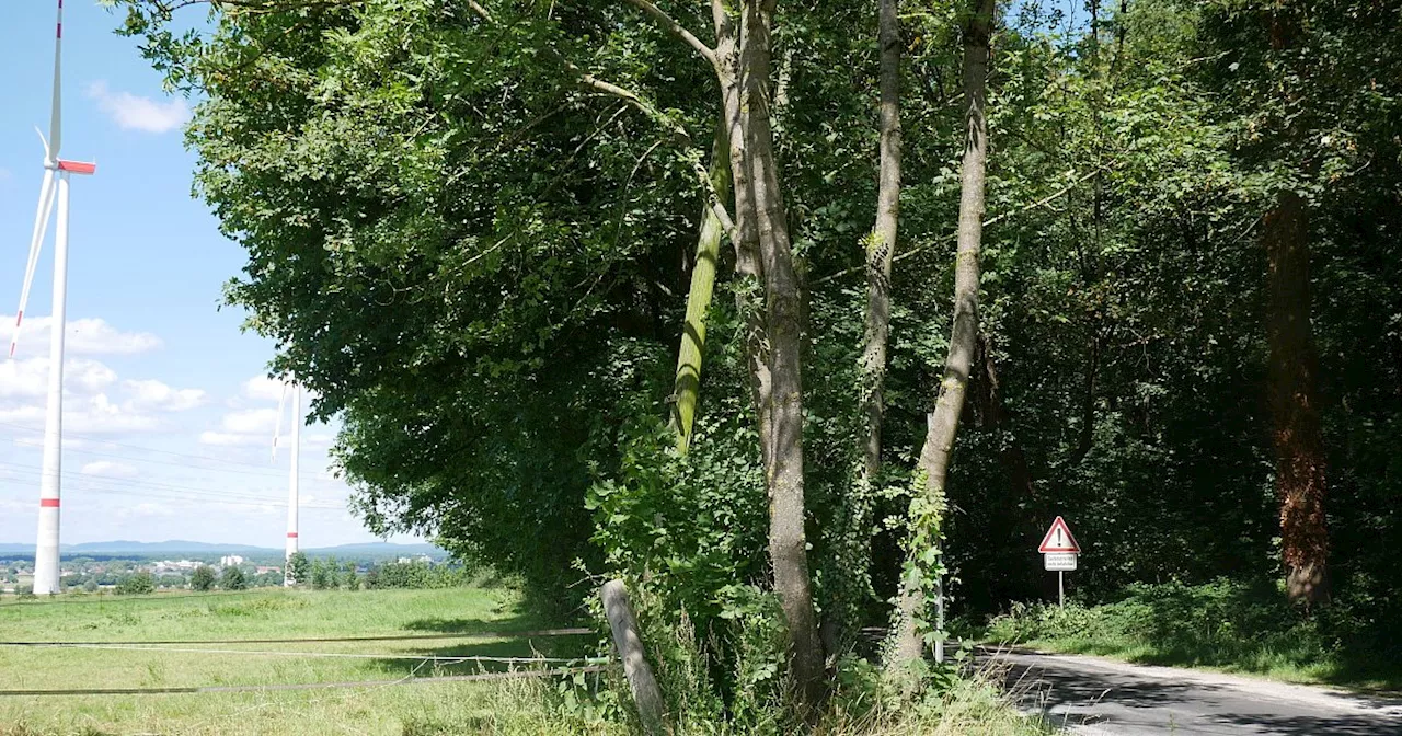 Wegenetz in Bad Lippspringe steht auf dem Prüfstand