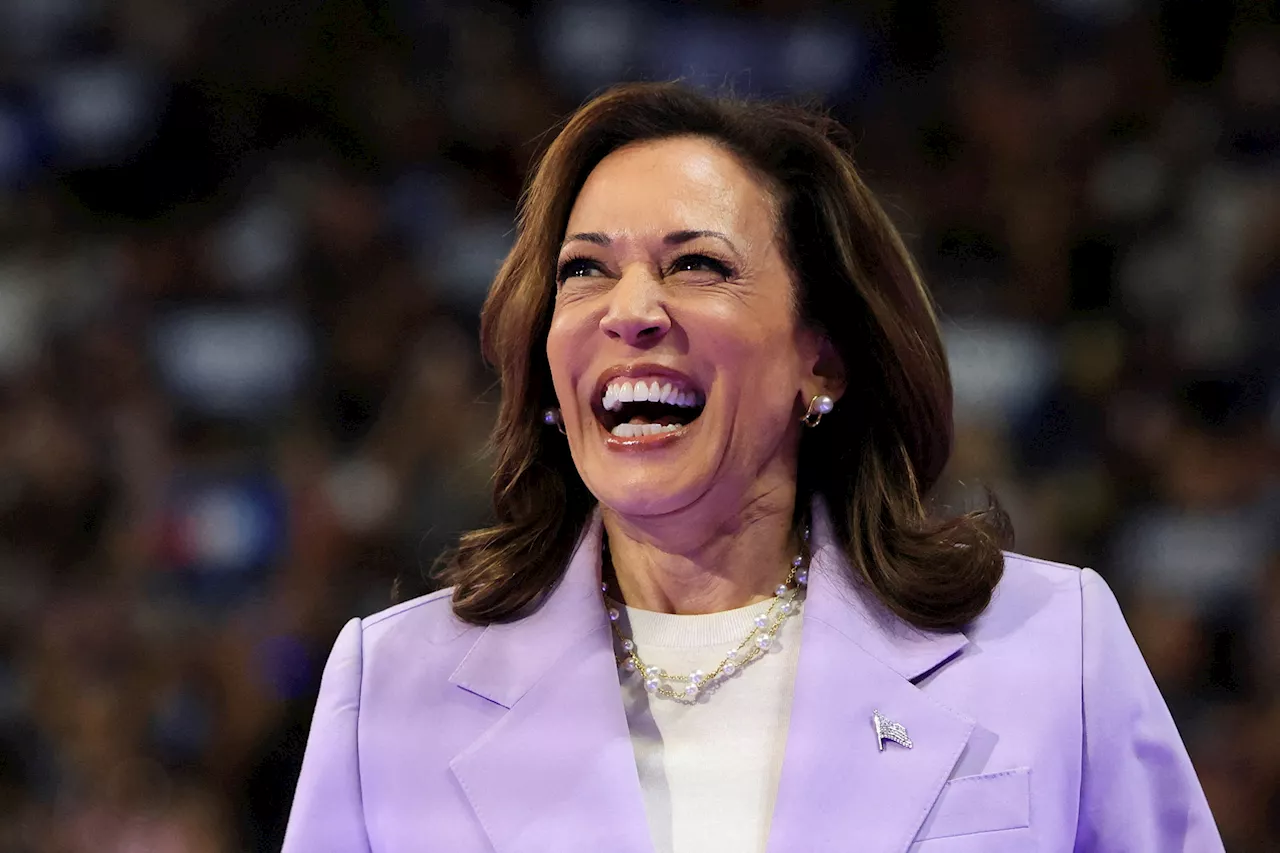 Harris can't rely on identity politics this election, as wokery becomes a luxury belief