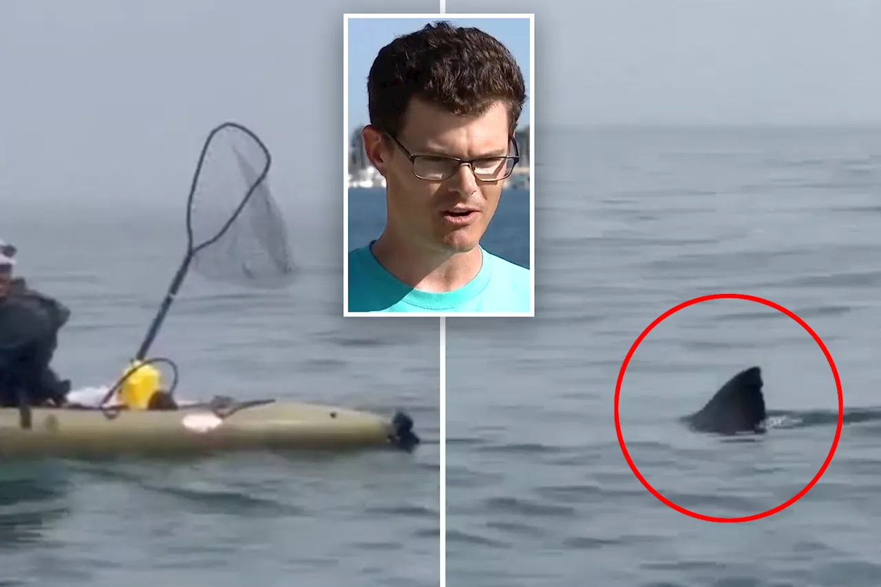 Kayaker recounts insane caught-on-camera close encounter with great white shark