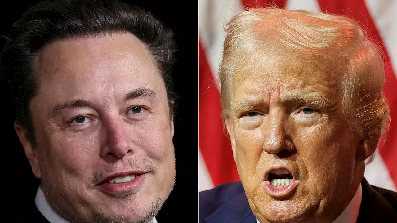 Donald Trump et Elon Musk fraternisent lors d'une interview marquée par une « cyberattaque »