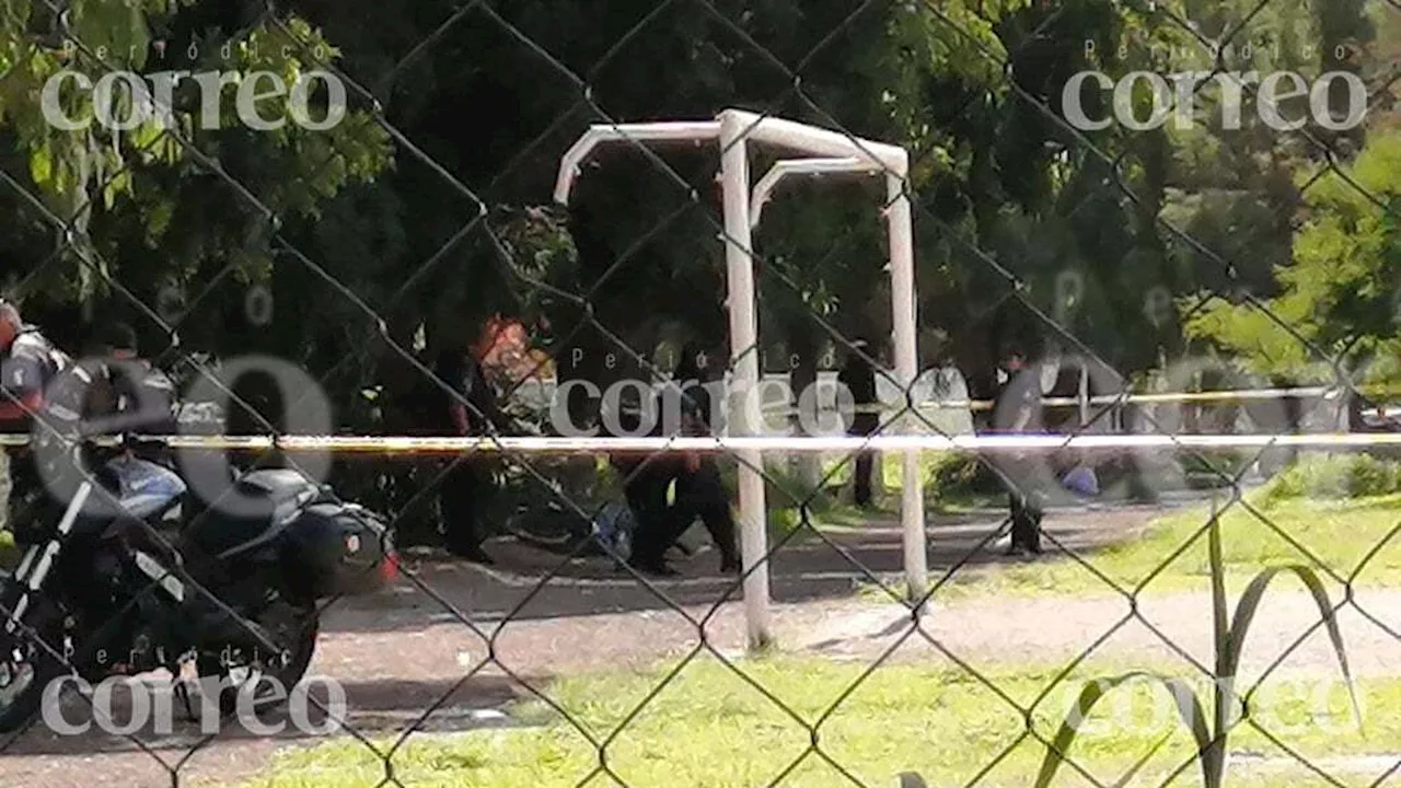 Violencia en la cancha: Guanajuato ha vivido 6 ataques en 3 años