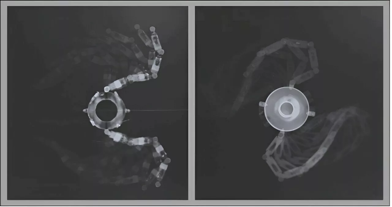 A new robotic platform to reproduce and study complex ciliary behavior