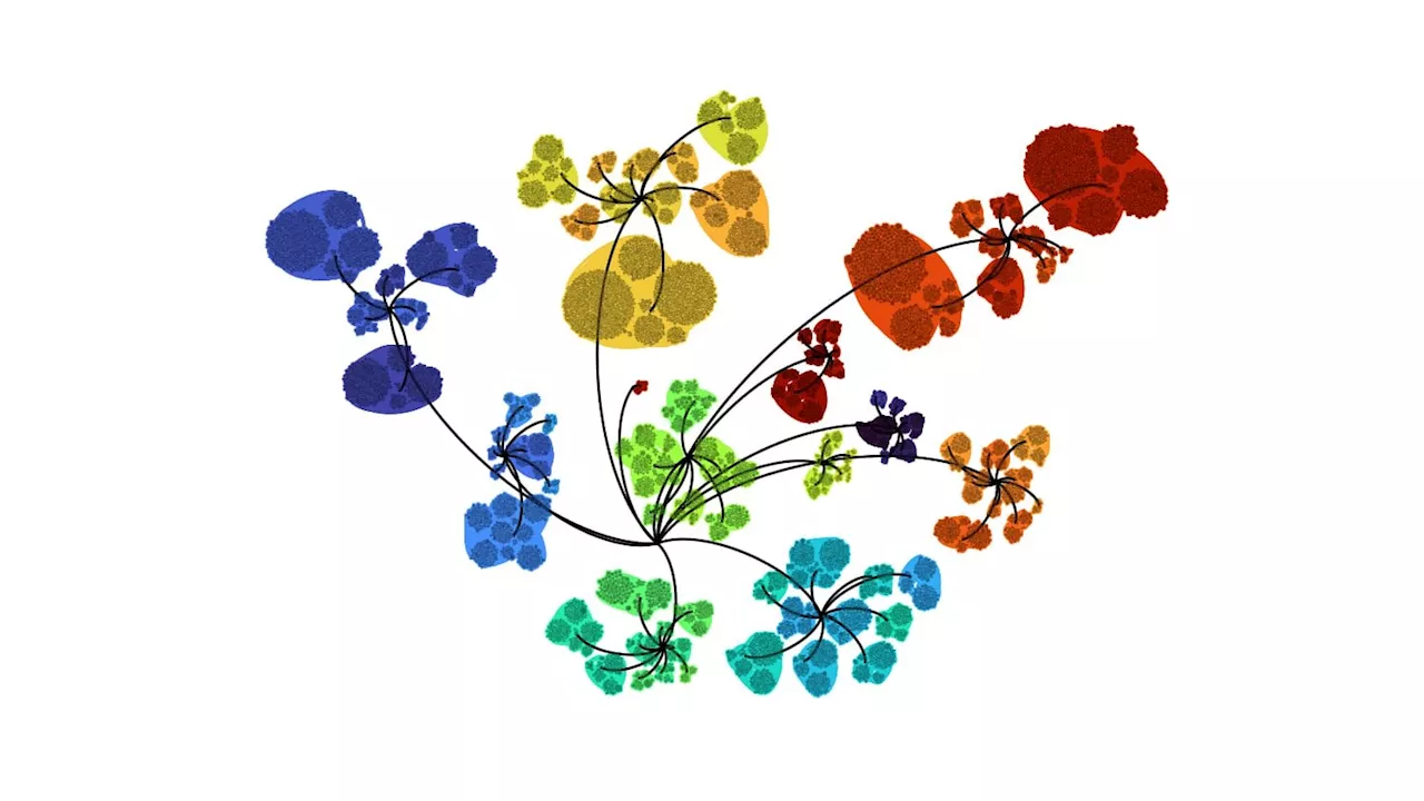 Teams forge communication shortcuts across large organizations to keep information flowing