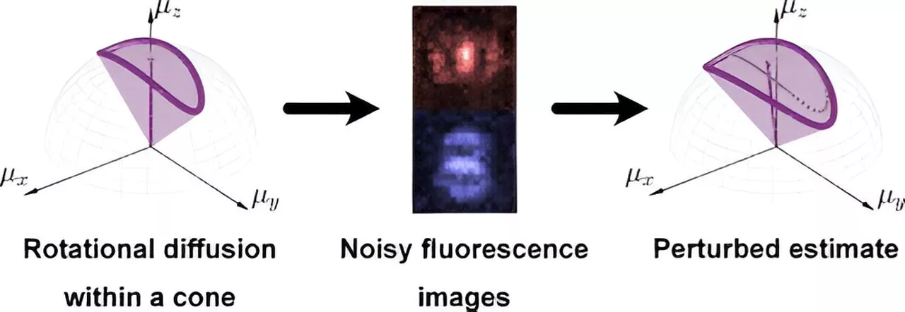 Wobbly molecules get a closer look with a new theoretical framework