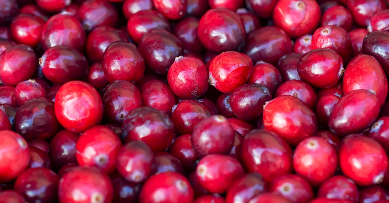 Does Cranberry Juice Help a UTI?