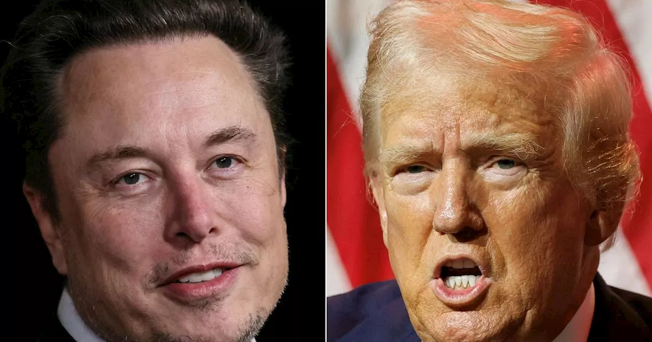 Donald Trump bei Elon Musk: Technische Probleme bei Livestream