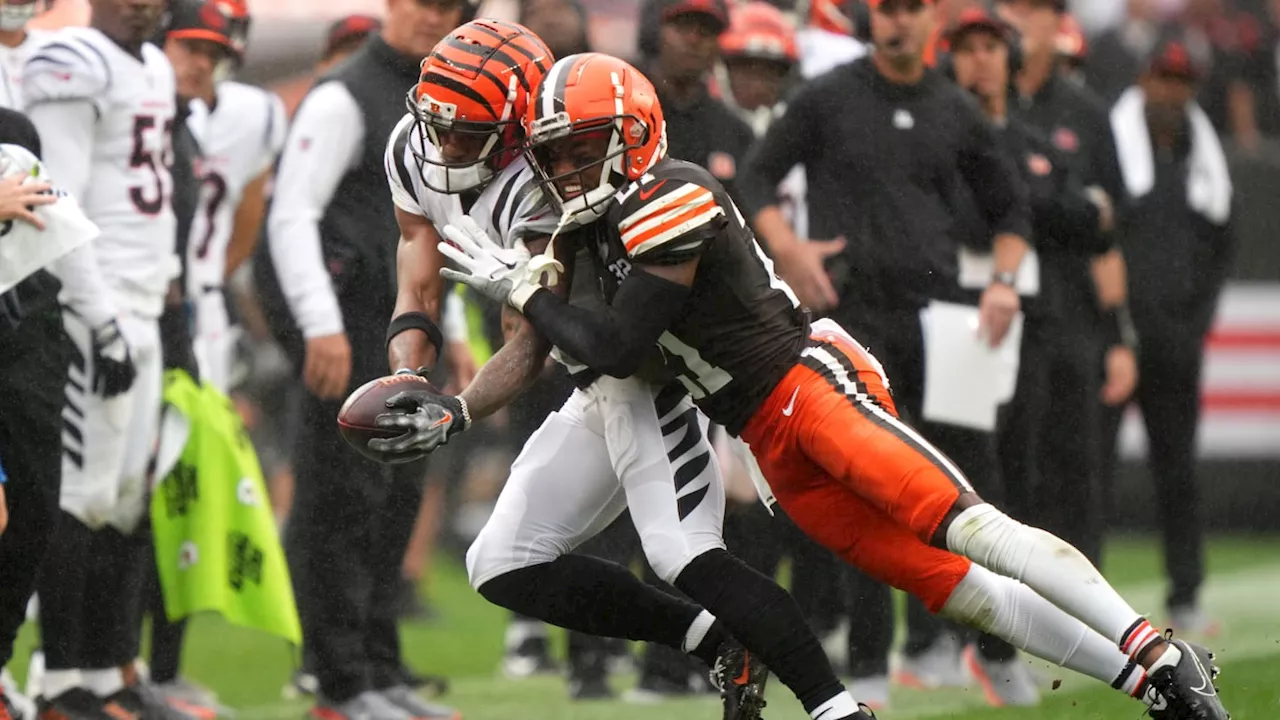 Browns, AFC North Rivals Predicted To Make Playoffs