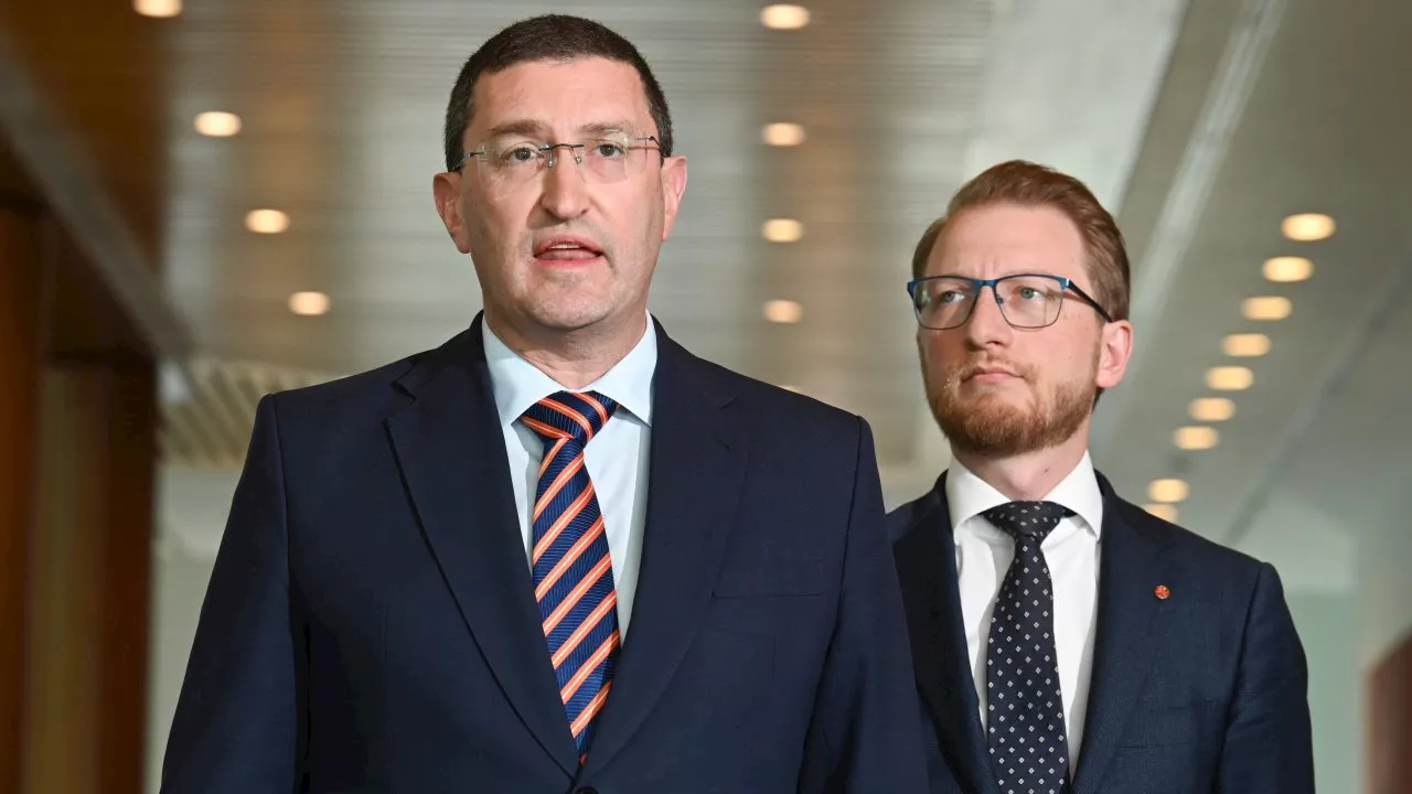 Coalition demands Albanese government prevent Hamas supporters from entering Australia