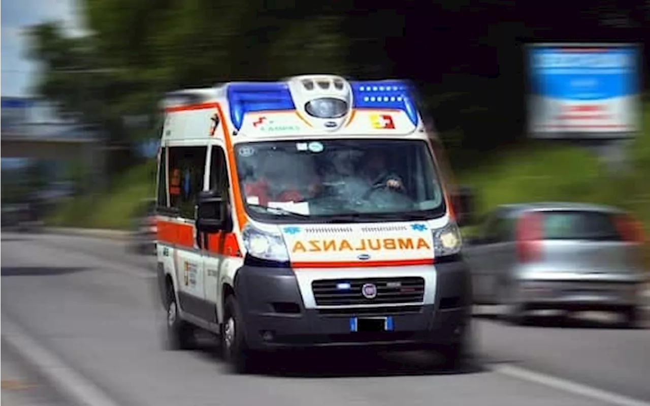 Senigallia, investiti da un'auto lungo la Statale 16: morti due ciclisti