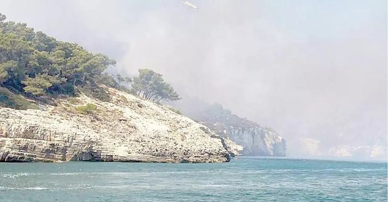 Italia prima per numero di incendi ma negli altri Paesi bruciano aree più vaste