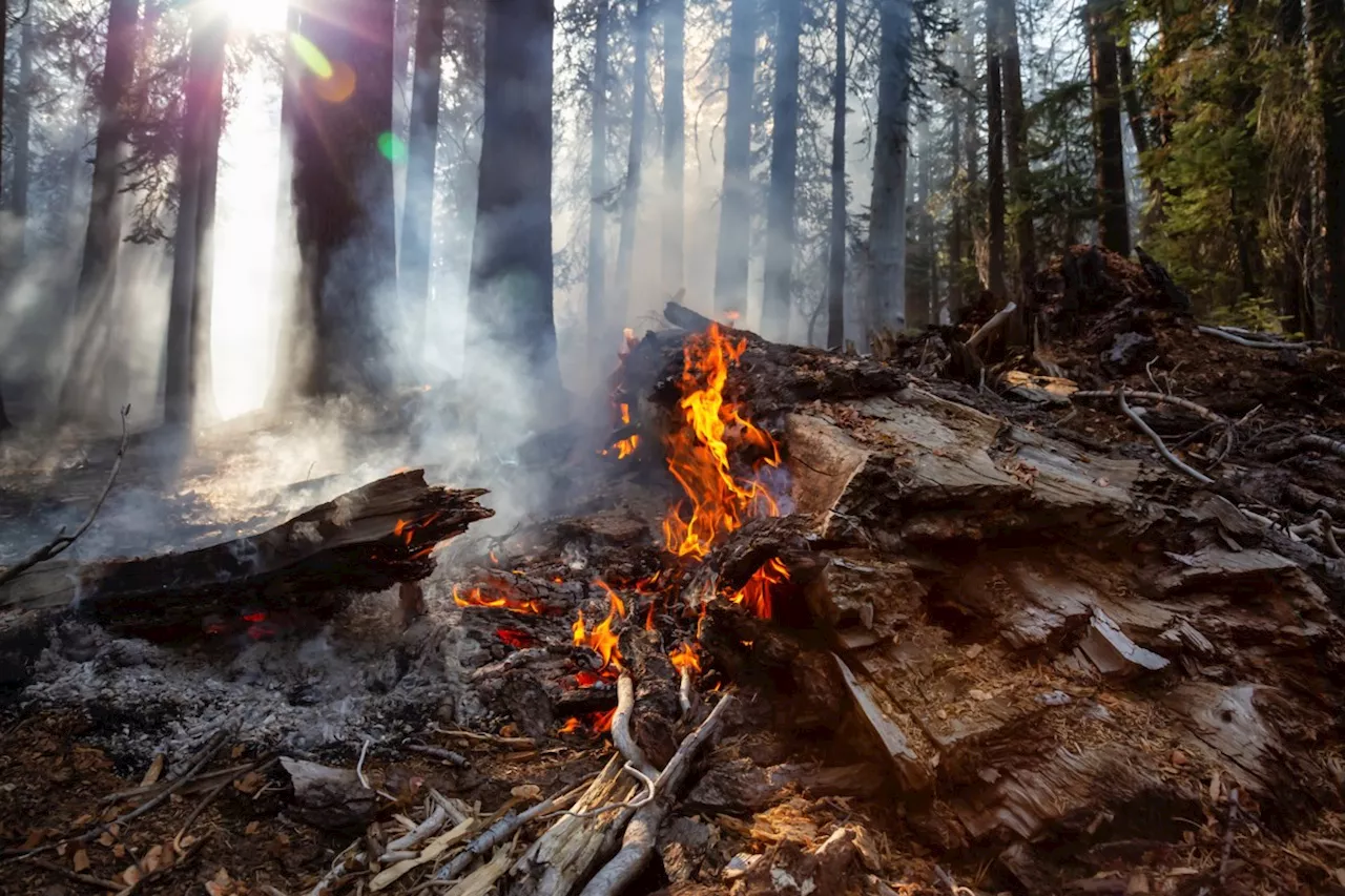 Wildfire north of Sudbury still not under control