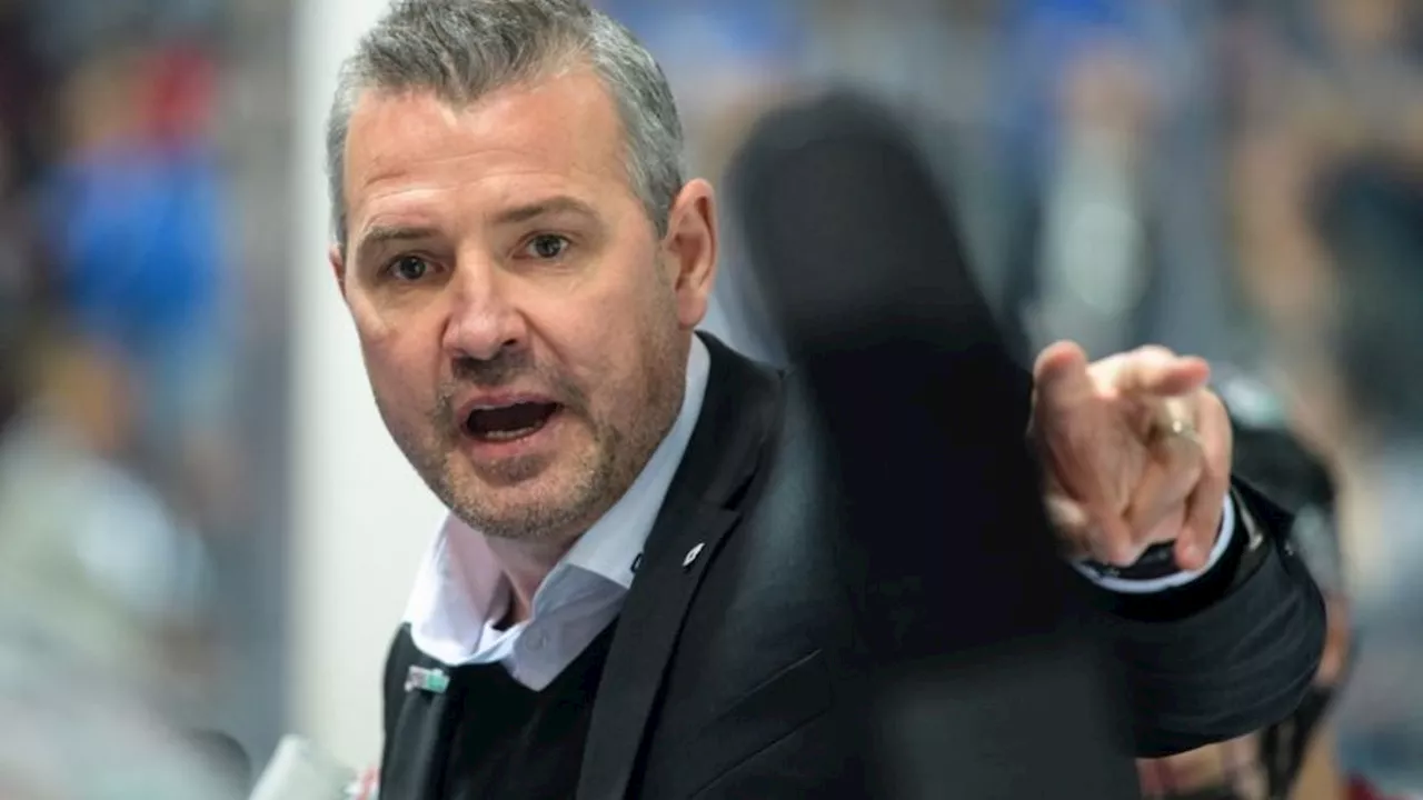 Deutsche Eishockey Liga: Eisbären-Coach Aubin lobt Trainingsstart: 'Ein guter Tag'