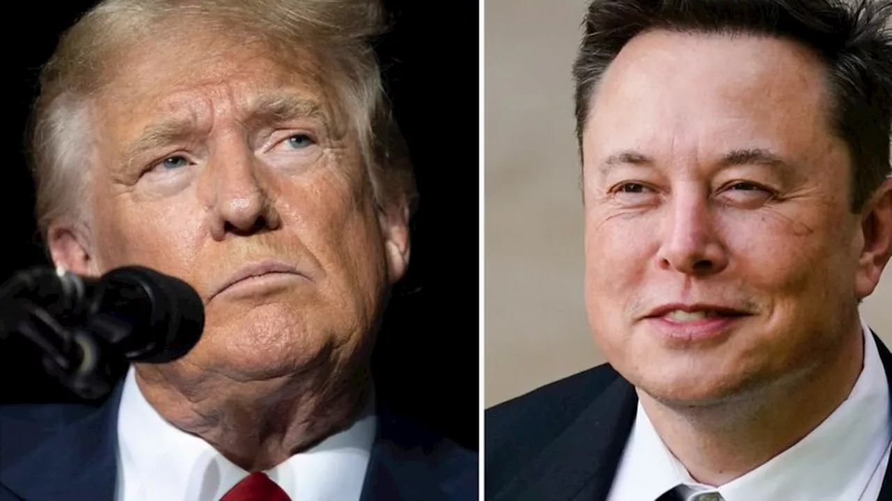 US-Wahlkampf: Musk dient Trump bei Live-Gespräch als Stichwortgeber