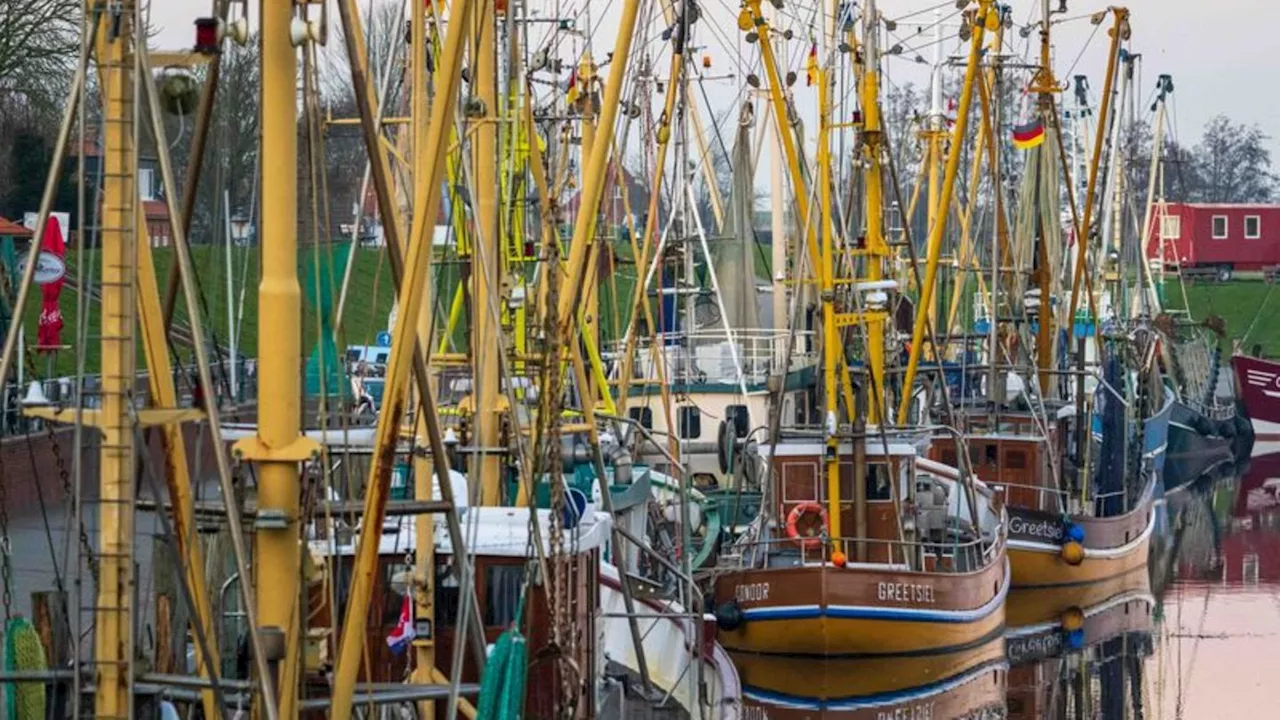 Widerstand gegen EU-Pläne: Zukunftspakt: Nordseeorte sorgen sich um Küstenfischerei