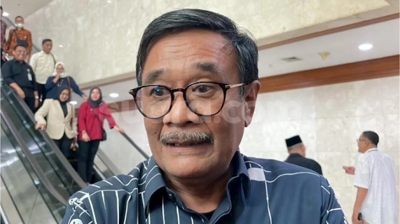 Djarot PDIP: Jakarta Punya Banyak Calon Pemimpin Berpotensi, Bukan Cuma Ridwan Kamil