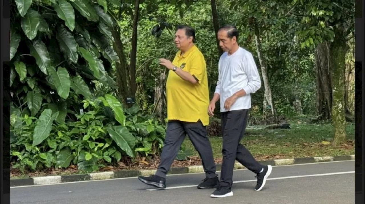 Pengamat Sebut Airlangga Mundur karena Mendukung Karir Politik Keluarga Jokowi, Nama Bobby Nasution Ikut Terseret