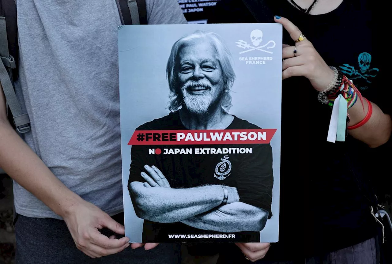 Arrestation de Paul Watson : le militant devant un juge au Groenland pour statuer sur sa détention