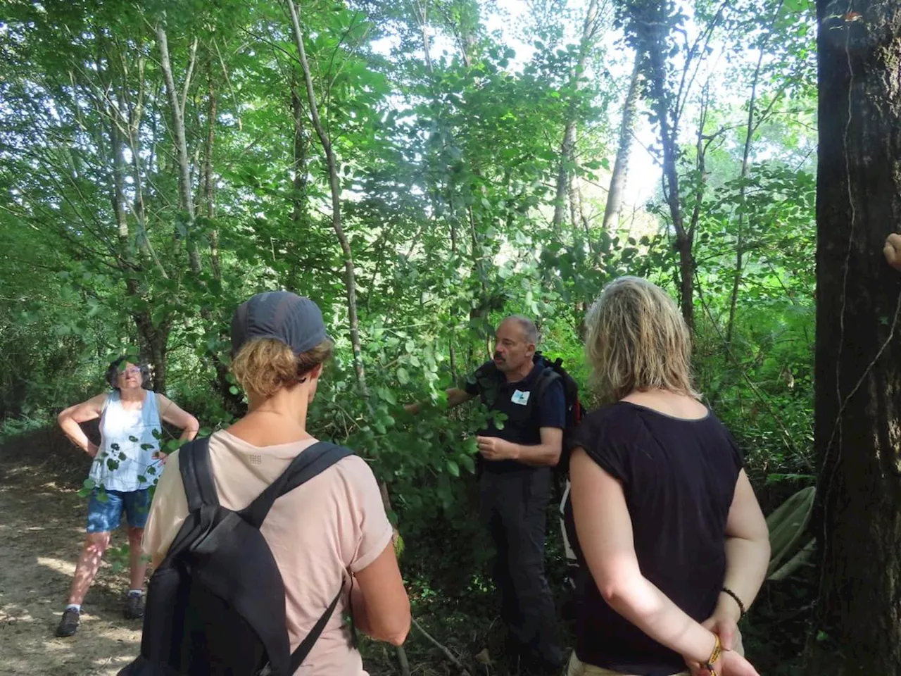 « On ne fait plus attention à ce qu’il y a autour de nous » : une balade étonnante au domaine d’Ognoas, dans les Landes