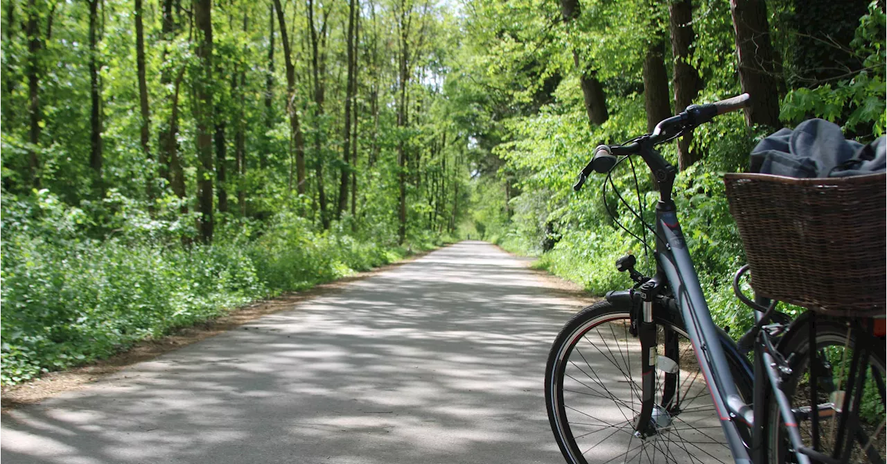 Fahrrad-Touren rund um München: Tipps zu Biergärten und Routen für Familien