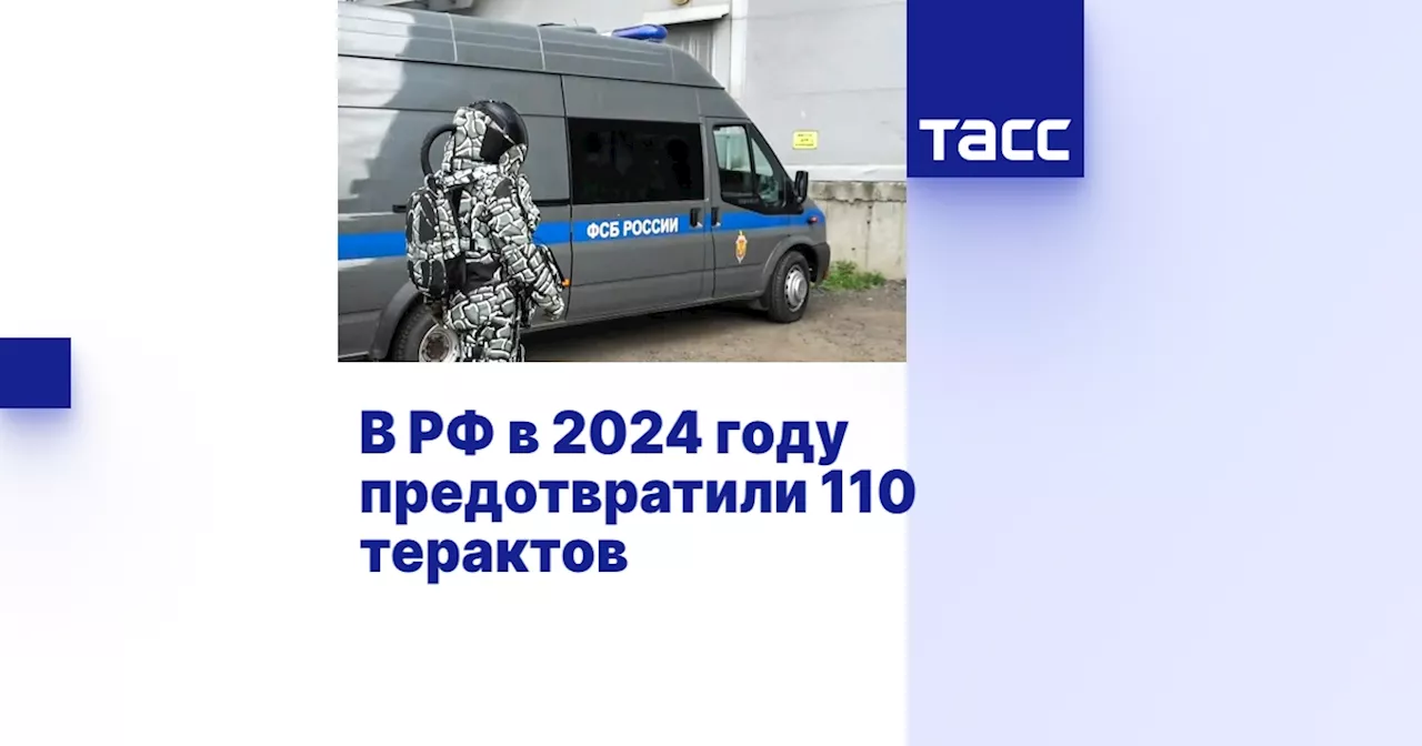 В РФ в 2024 году предотвратили 110 терактов