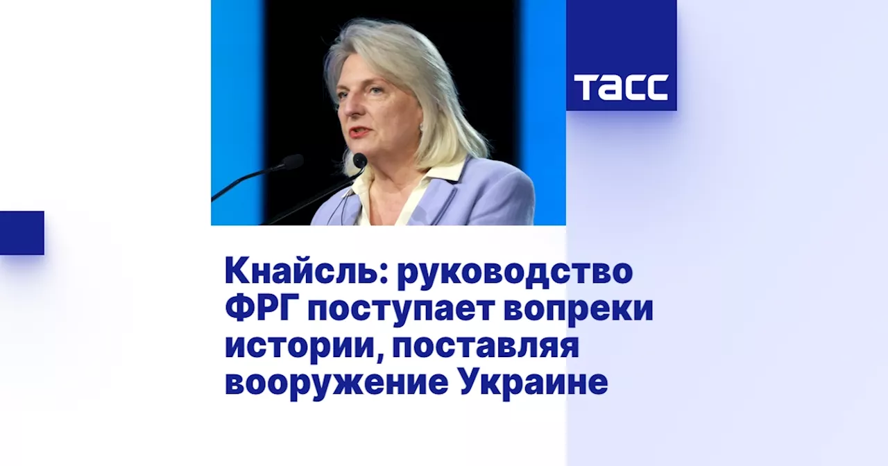 Кнайсль: руководство ФРГ поступает вопреки истории, поставляя вооружение Украине