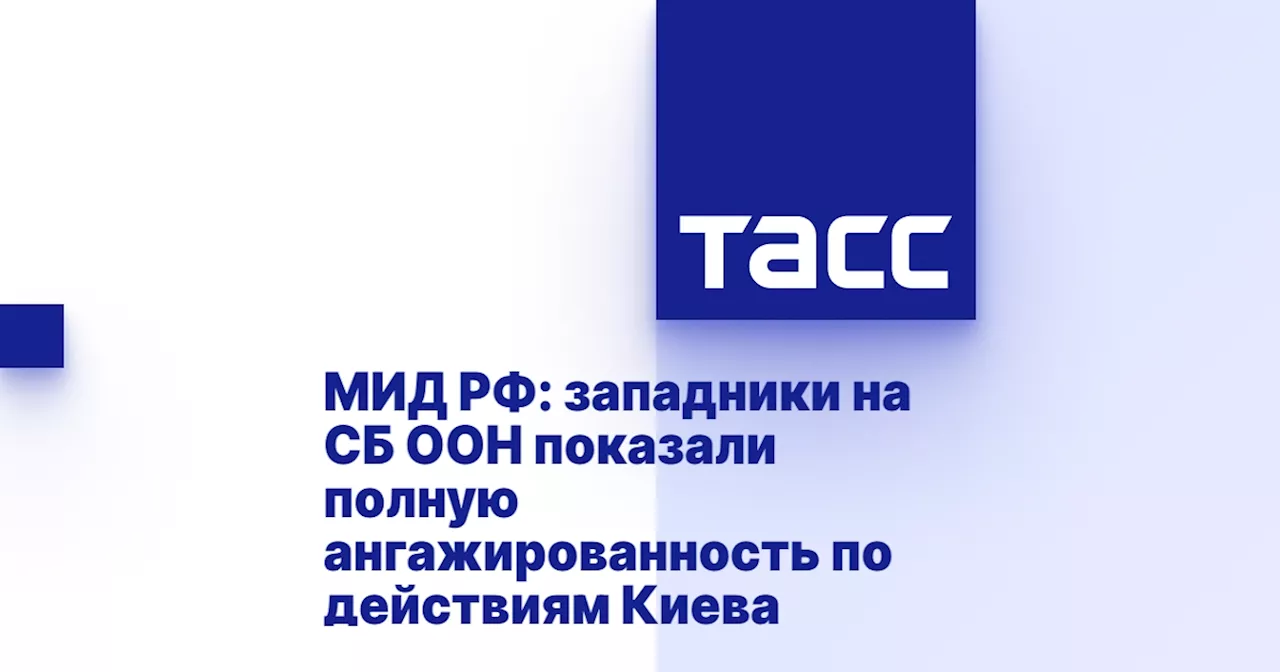 МИД РФ: западники на СБ ООН показали полную ангажированность по действиям Киева