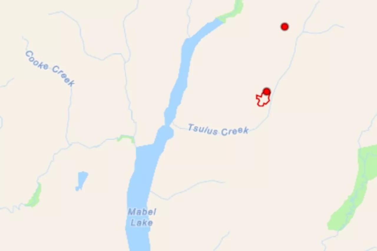 New fire sparked near Mabel Lake, between Lumby and Revelstoke