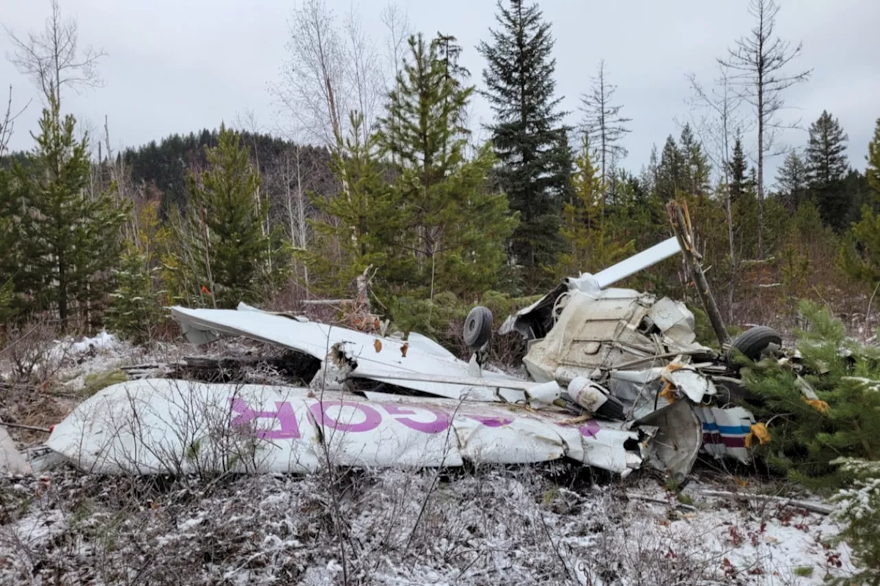 Specific cause not determined in fatal 2023 plane crash in Kootenays: Report