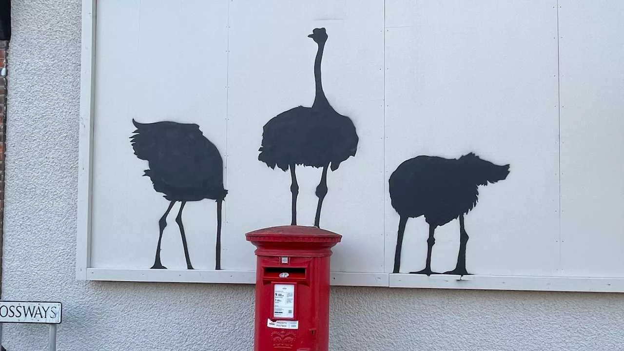 Copycat Banksy caught on camera painting mural just hours before real artist completed his animal trail...