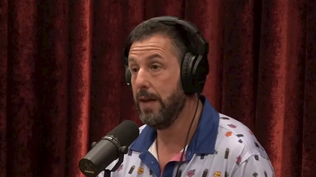 Adam Sandler, Joe Rogan Say Oscars Slap Helped Chris Rock, Hurt Will Smith